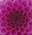 36c112bedca1b47b2f2c61113ab84ffc