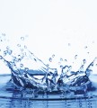 4403f8d4c2542c2987990a75d3d998e9