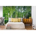 229174