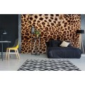 066a4f1fb7d3882a5e8b672125849055