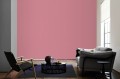 250683