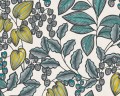 251036