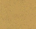 b209d2546b614e1811fc2f4cfee7fdd5