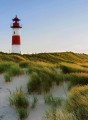 254921