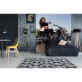 276204