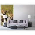 277488