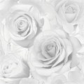 3f0665351593907cfd01f1d50fa55d96