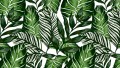 Okleina Meblowa 55789 Venilia HOUSE PLANTS szer 45 cm