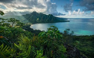FotoTAPETA na flizelinie SHX9-117 Jurassic Island