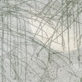 c0cd4861cfe5a1c49a6361b9d465b040