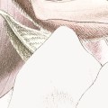 7cb75bab1372bb0bb33c779108d2479c