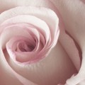 e2ec8d1ebb5b4e22f9799990a79cb65b