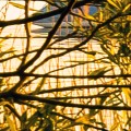 a7b53c2fca162d9c5ad8ce6459dc8a2b