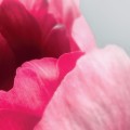 e0240a19e6dc7107ffcc85eba14f1a49
