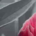16e1f95c731fa34df84db7e296e6a06b