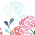 6e0ace1b15c30e3249fb5a34383ed0f7