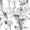 2c0cc5a02dfd1c745a4b574f07f5602c