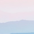 6b8436cf47de5b3922ea45aee9a29845