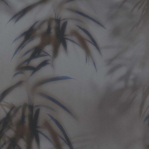 TAPETA 219545 BN Dimensions