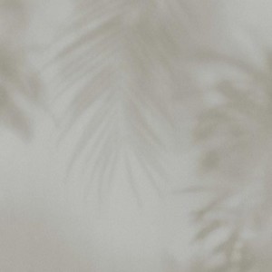 TAPETA 219551 BN Dimensions