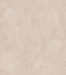 Tapeta 201550 Rasch Selection Paper