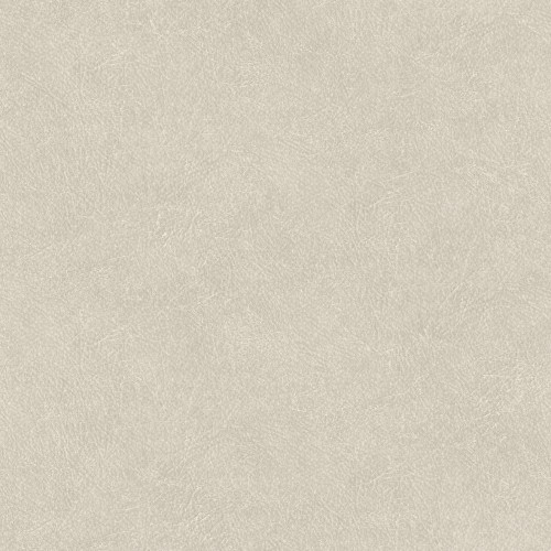 e60d0e6761b6840c2c588a1489504eb5