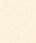 Tapeta BO23001 BOHEME - PLAIN VELVET