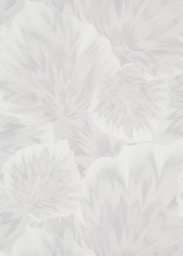a471e004a6442041050774eb09faa9ef