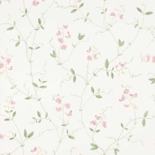 a1d1c75710bed246949941c125a3c17b