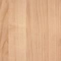 Okleina Meblowa 10855 / Gekkofix olcha jasna szer 90 cm