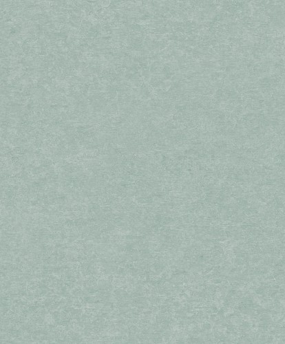 Tapeta A65605 Attitude