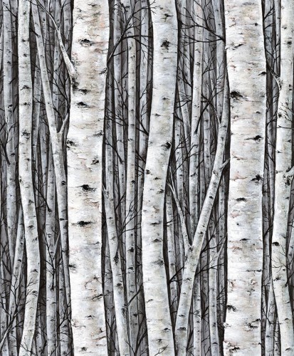 506b06ba76665baf840c9409794893f1