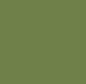 Okleina Meblowa 55559 Venilia AVOCADO GREEN  matt szer 45 cm