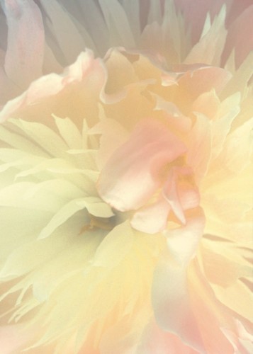 a0e520b659acc91153a16b5a2d4b414a