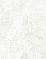 TAPETA 10439-31 OPUS