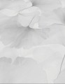 TAPETA 10470-31 ELYSIUM
