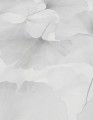 TAPETA 12227-31 ELYSIUM