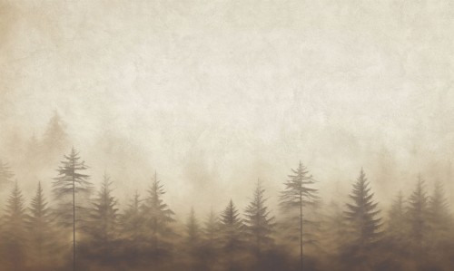 Mural fototapeta 22025-07-01 Dawn - Big Pictures / DY9121-07-01 Silent Woods - ZOOM 2