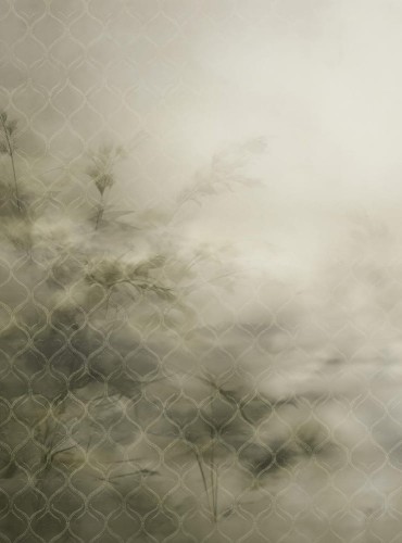 Mural fototapeta 22043-07-01 Mystic Garden - Big Pictures / DY9139-07-01 Sunlit Shadows - ZOOM 2