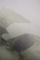 Mural fototapeta 22036-07-02 Mystify - Big Pictures / DY9132-07-02 Jungle Veil - ZOOM 2