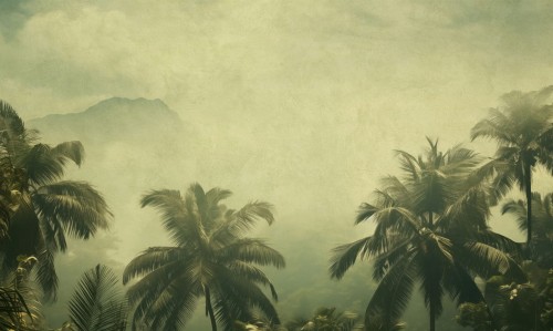 Mural fototapeta 22032-07-01 Coco Island - Big Pictures / DY9128-07-01 Coconut Skies - ZOOM 2