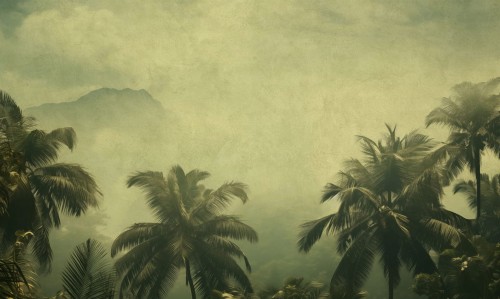 Mural fototapeta 22032-01-01 Coco Island - Big Pictures / DY9128-01-01 Coconut Skies - ZOOM 2