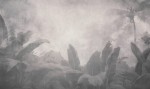 Mural fototapeta 22031-01-01 Sunset - Big Pictures / DY9127-01-01 Tropical Haze - ZOOM 2