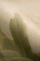Mural fototapeta 22030-01-01 Sunset - Big Pictures / DY9126-01-01 Tropical Haze - ZOOM 2