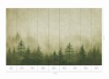 Mural fototapeta 22026-07-01 Dawn - Big Pictures / DY9122-07-01 Silent Woods - ZOOM 2