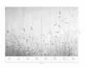 Mural fototapeta 22014-07-01 Hint of Autumn - Big Pictures / DY9111-07-01 Autum is Coming - ZOOM 2