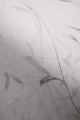 Mural fototapeta 22014-07-02 Hint of Autumn - Big Pictures / DY9111-07-02 Autum is Coming - ZOOM 2