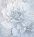 Mural fototapeta 22017-07-01 Pale Beauty - Big Pictures / DY9114-07-01 Frosted Beauty - ZOOM 2