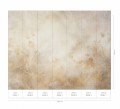 Mural fototapeta 22018-01-01 Indian Summer - Big Pictures / DY9115-01-01 Golden Ember - ZOOM 2