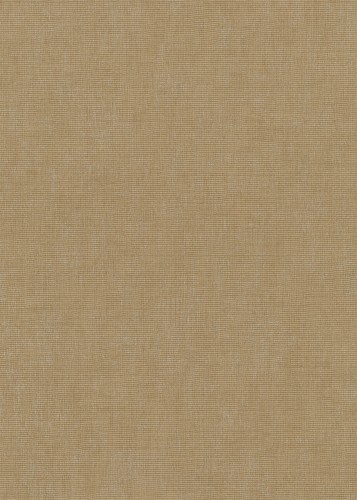 345029